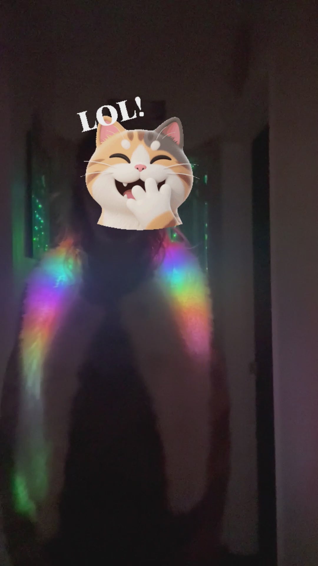 OHHUM Rainbow Visions LED Fur Vest